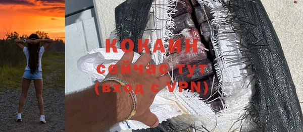 трава Болотное