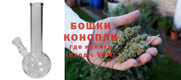 не бодяженный Новозыбков